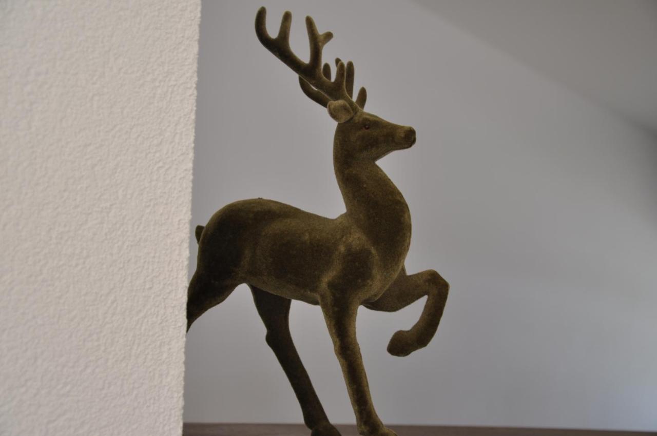 Ferienwohnung Staudach, Apartment Fuegenberg Zewnętrze zdjęcie